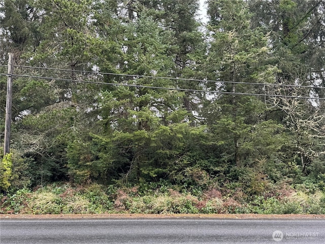 Listing photo 3 for 0 Vernon Ave, Ocean Park WA 98640