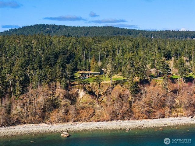 drone / aerial view with a water view and a wooded view