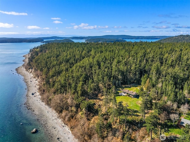 birds eye view of property featuring a forest view and a water view