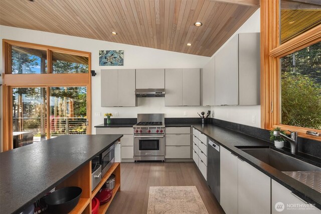 kitchen featuring under cabinet range hood, dark countertops, dark wood finished floors, stainless steel appliances, and vaulted ceiling