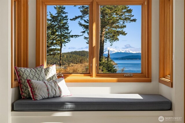details featuring a water and mountain view