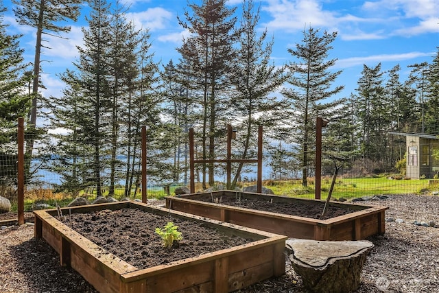 view of yard featuring a vegetable garden