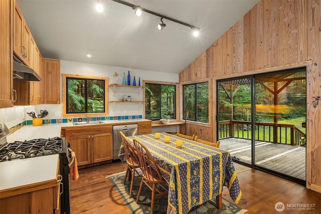 kitchen featuring a sink, light countertops, vaulted ceiling, stainless steel appliances, and dark wood-style flooring