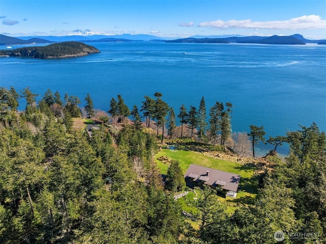 aerial view with a water and mountain view