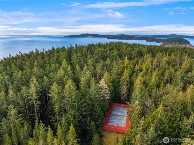 bird's eye view with a view of trees and a water view