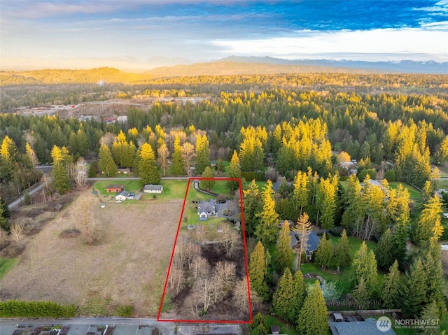 bird's eye view featuring a mountain view and a wooded view