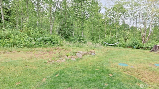 6137 404th Ln SE, Snoqualmie, WA 98065 - view of grassy yard