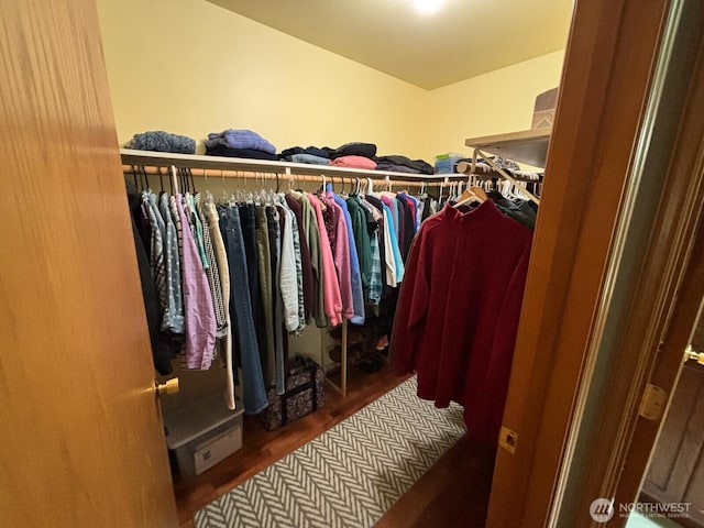 spacious closet with wood finished floors