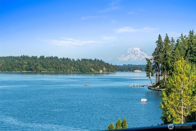 2406 Island Dr NW, Olympia, WA 98502 - photo 2