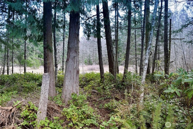 view of local wilderness with a view of trees