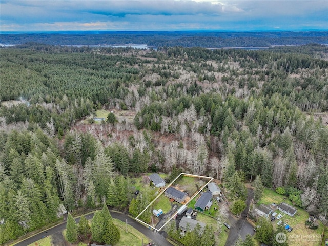 aerial view featuring a forest view
