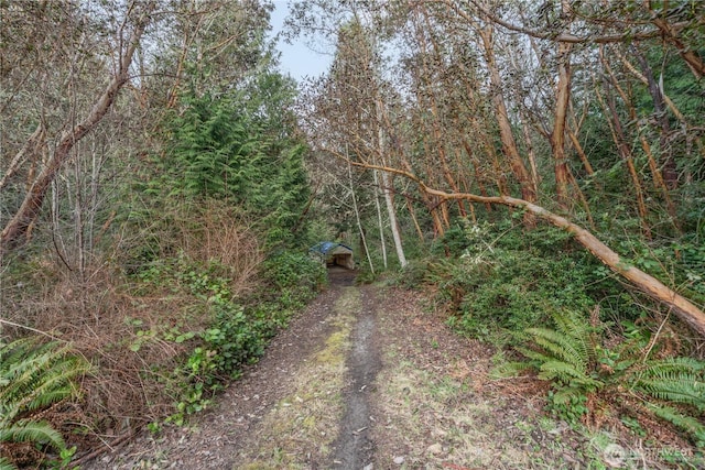 exterior space featuring a wooded view