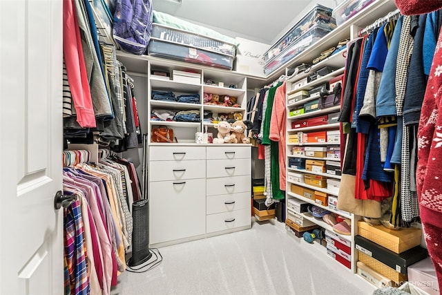 view of walk in closet
