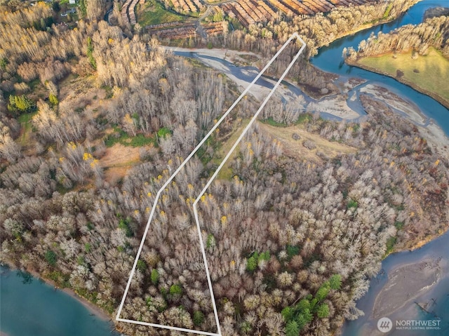 157 Kehoe Rd, Randle, WA 98377