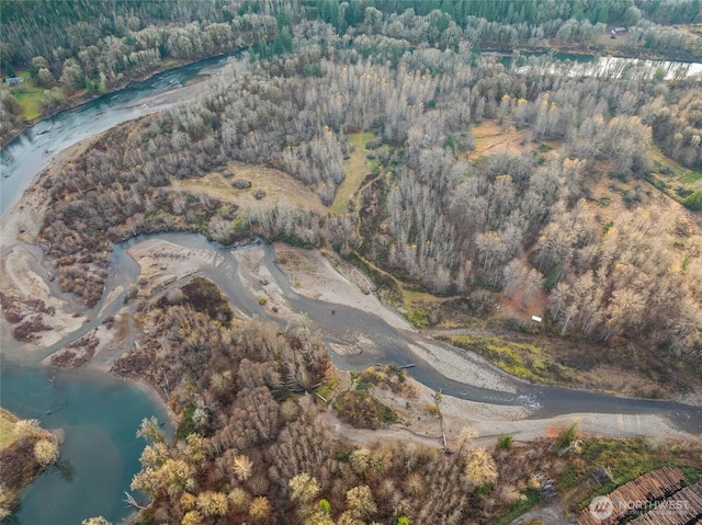 157 Kehoe Rd, Randle, WA 98377