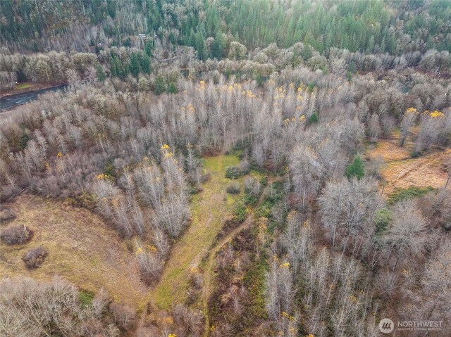 157 Kehoe Rd, Randle, WA 98377