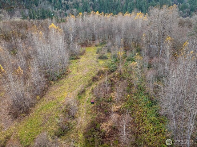 157 Kehoe Rd, Randle, WA 98377