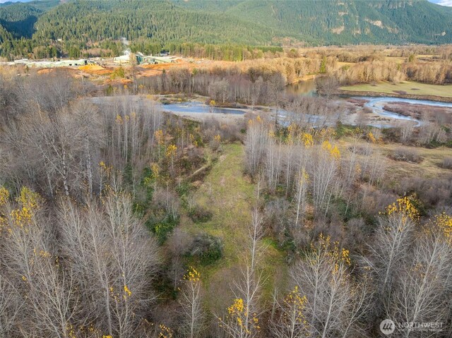 157 Kehoe Rd, Randle, WA 98377