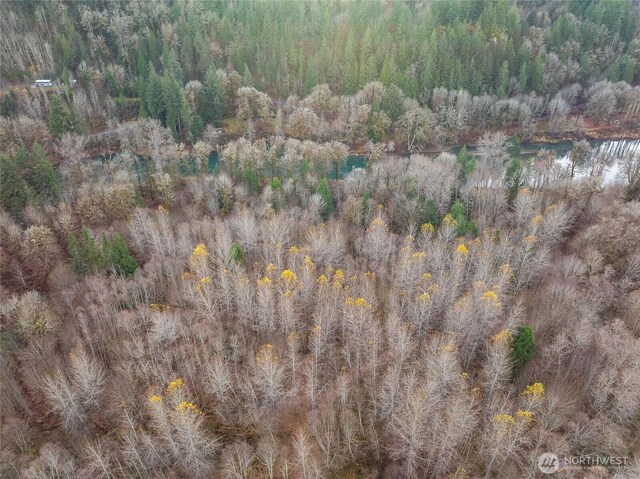 157 Kehoe Rd, Randle, WA 98377