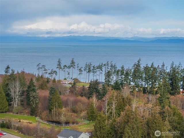 property view of water featuring a mountain view