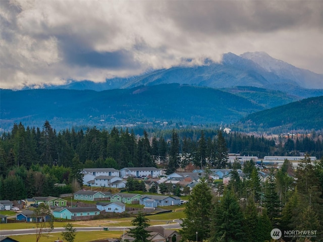 mountain view featuring a wooded view