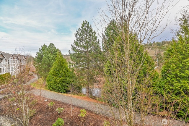 910 Medical Center Dr Unit B-203, Arlington, WA 98223 - photo 26