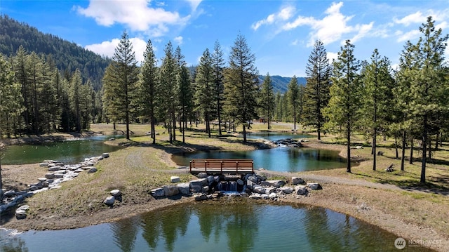 391 Southern Star Ln, Cle Elum, WA 98922 - photo 22