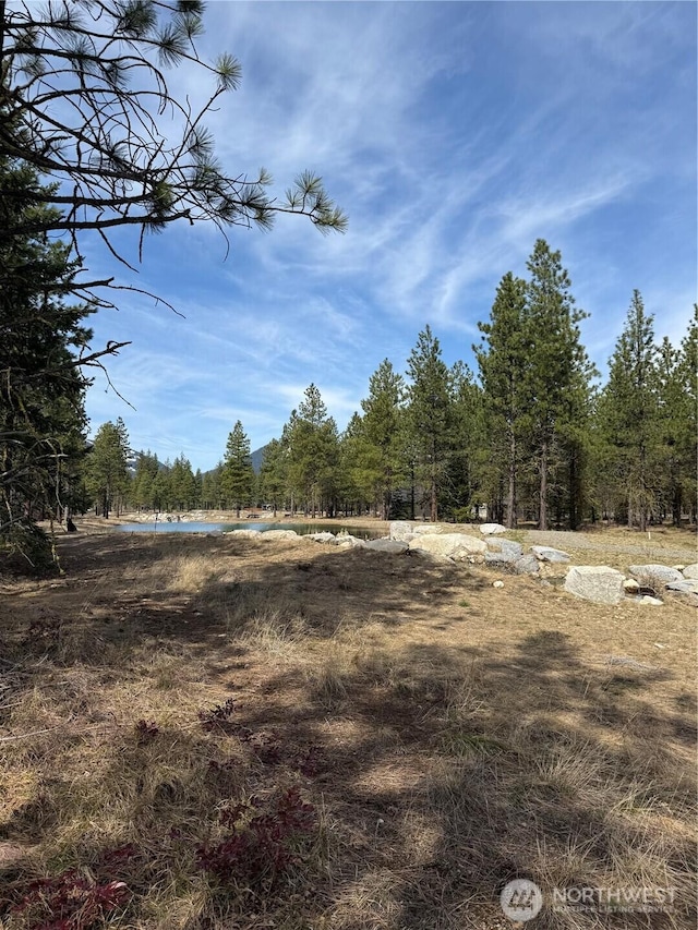 391 Southern Star Ln, Cle Elum, WA 98922 - photo 17