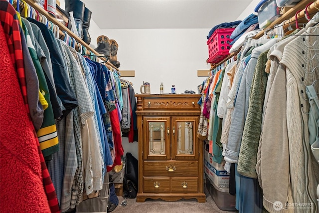 walk in closet with carpet