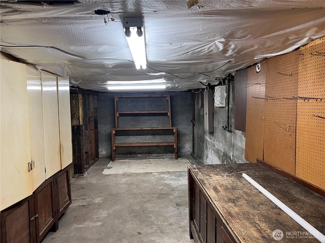 unfinished basement with electric panel