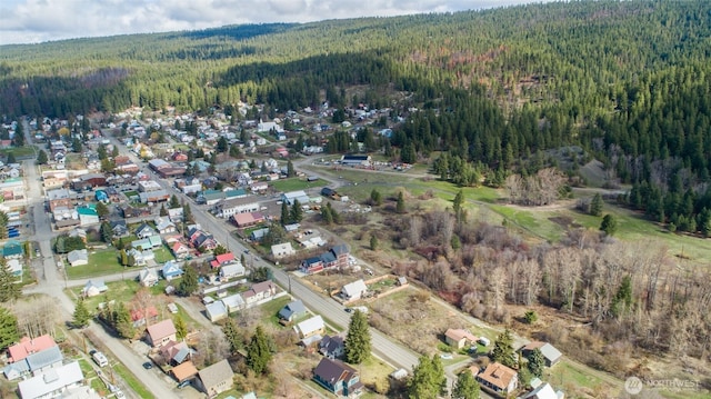 308 S 1st St, Roslyn, WA 98941 - bird's eye view with a forest view and a residential view