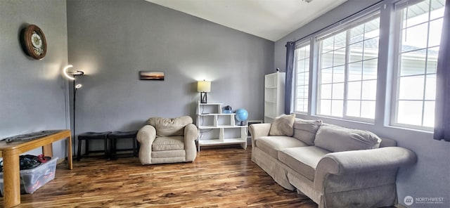 living room with wood finished floors and vaulted ceiling