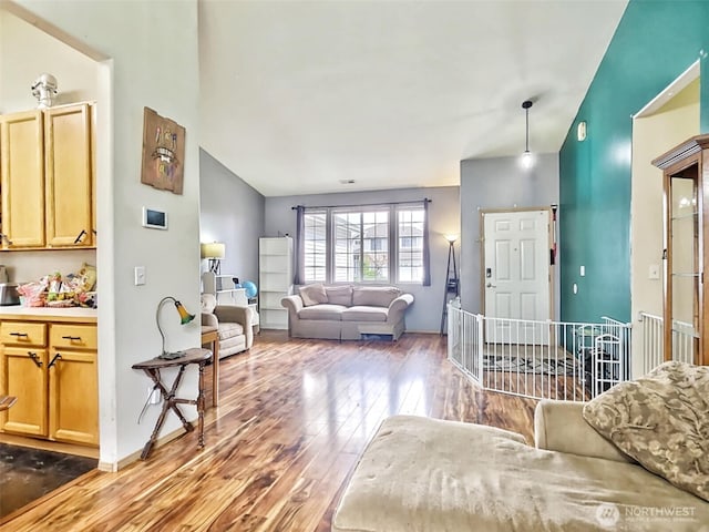 living area featuring wood finished floors