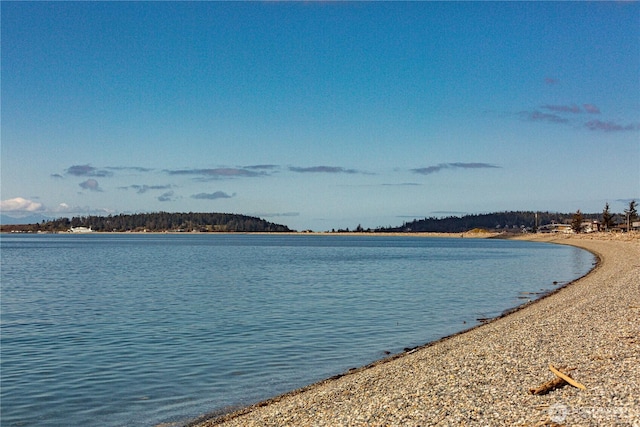 238 Keystone Ave, Coupeville, WA 98239 - photo 36
