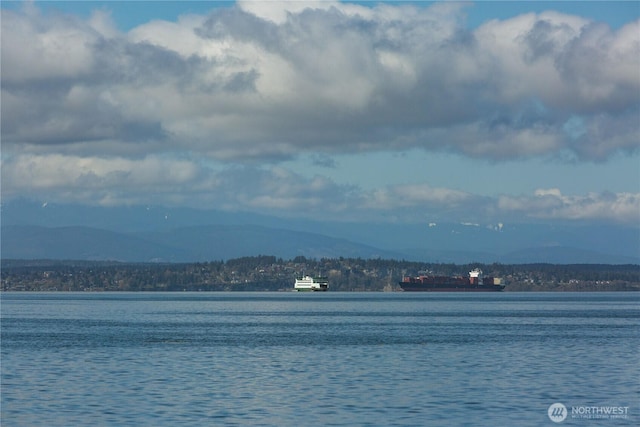 238 Keystone Ave, Coupeville, WA 98239 - photo 37
