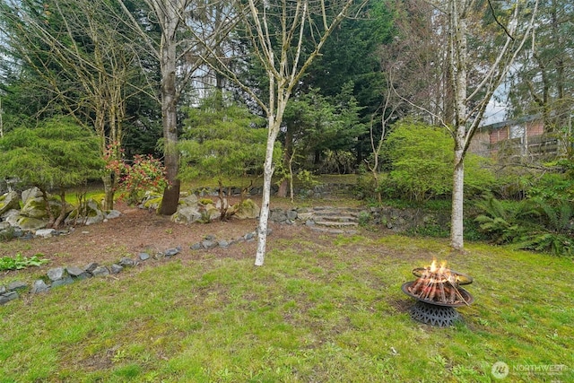 view of yard with an outdoor fire pit