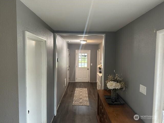 310 Kosmos Ln, Morton, WA 98356 - entryway with dark wood-style flooring