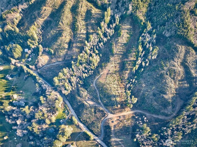 0TRACT3 S Valley Rd, Naselle, WA 98638 - photo 1