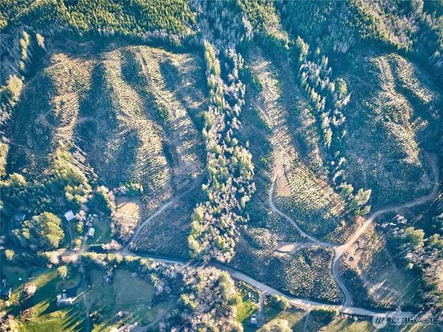 0TRACT3 S Valley Rd, Naselle, WA 98638 - photo 3