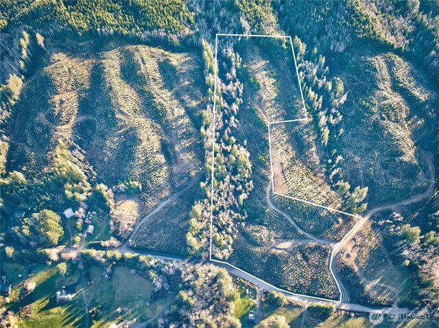 0TRACT3 S Valley Rd, Naselle, WA 98638 - photo 4