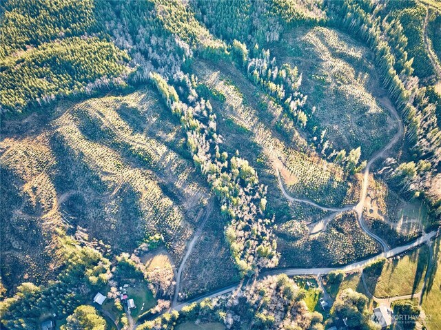 0TRACT3 S Valley Rd, Naselle, WA 98638 - photo 5