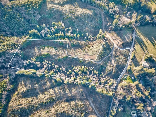 0TRACT3 S Valley Rd, Naselle, WA 98638 - photo 8