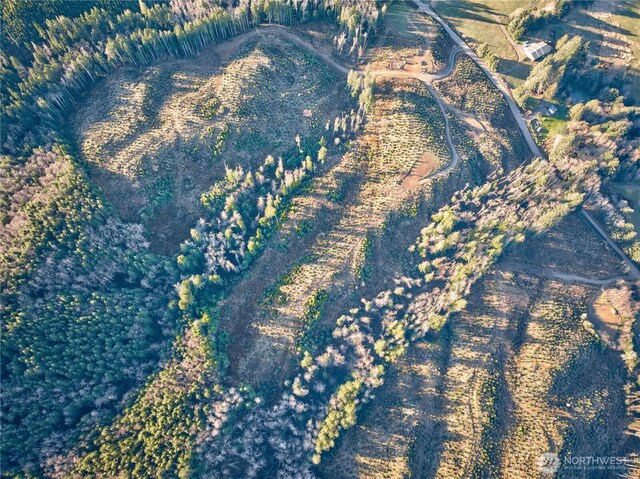 0TRACT3 S Valley Rd, Naselle, WA 98638 - photo 9