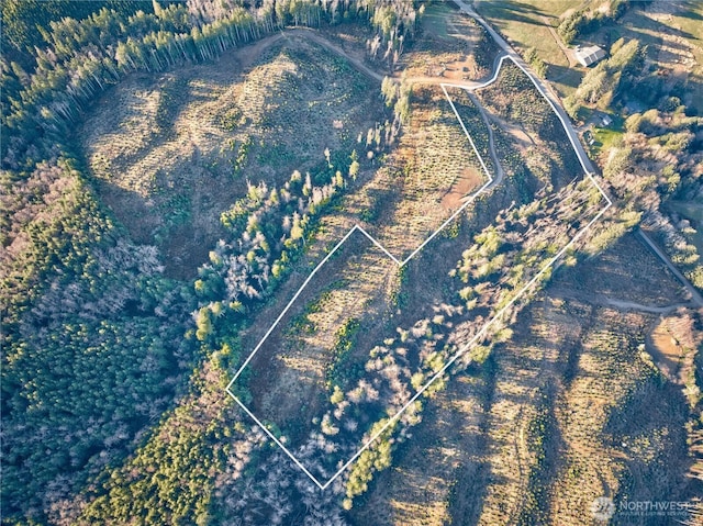 0TRACT3 S Valley Rd, Naselle, WA 98638 - photo 10