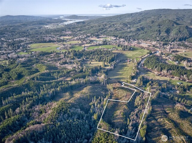 0TRACT3 S Valley Rd, Naselle, WA 98638 - photo 12