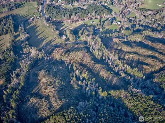 0TRACT3 S Valley Rd, Naselle, WA 98638 - photo 13