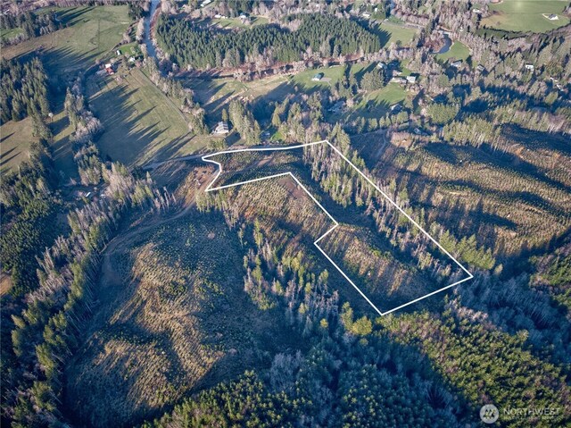 0TRACT3 S Valley Rd, Naselle, WA 98638 - photo 14
