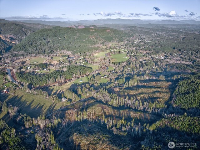 0TRACT3 S Valley Rd, Naselle, WA 98638 - photo 15