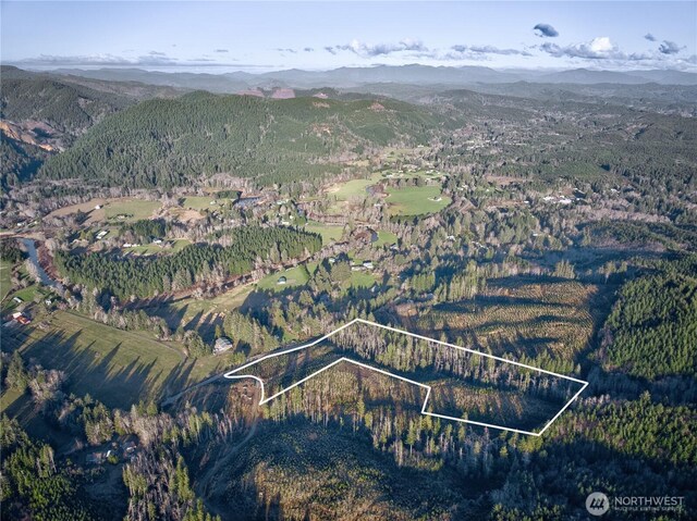 0TRACT3 S Valley Rd, Naselle, WA 98638 - photo 16