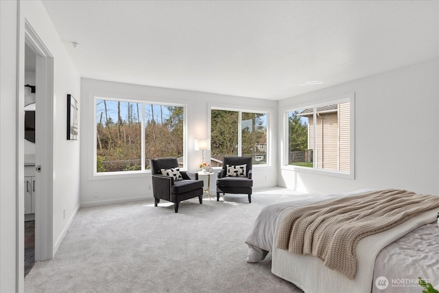 bedroom featuring baseboards and carpet